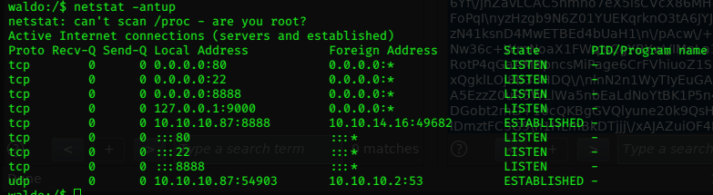 waldo-netstat-antup